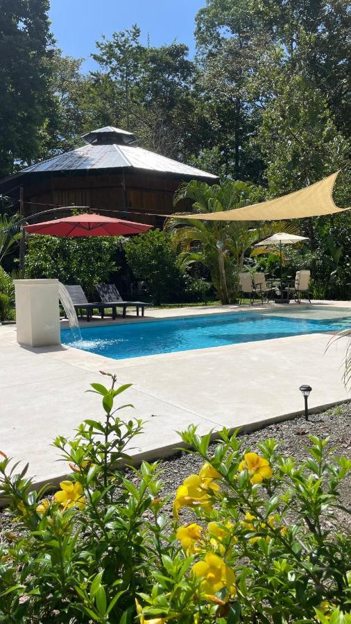La Amapola Lodge, Bungalow En Peninsula De Osa. Barrigones Екстериор снимка