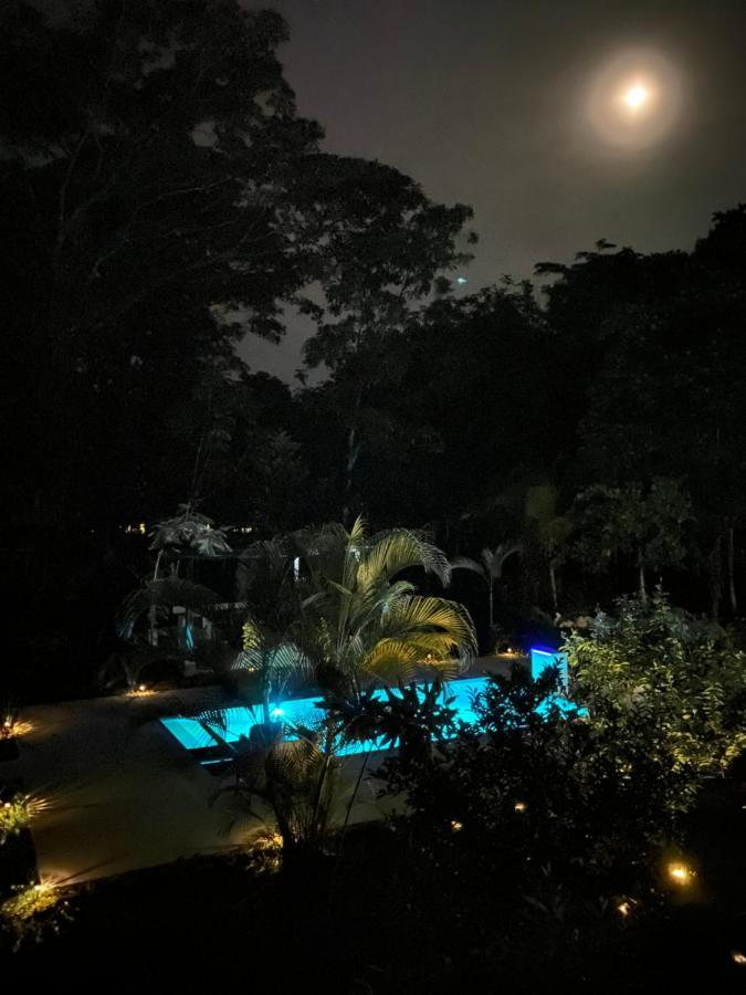 La Amapola Lodge, Bungalow En Peninsula De Osa. Barrigones Екстериор снимка